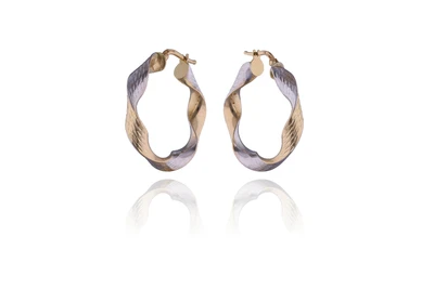 Orecchini in oro - Asta Young