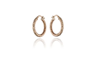 Orecchini in oro - Asta Young