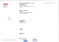 Anello con diamante - Tesori di Pasqua Anello con diamante - Tesori di Pasqua