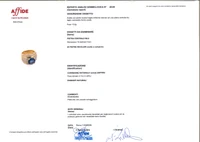 Anello con zaffiro e diamanti - Tesori di Pasqua