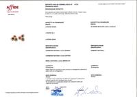 Orecchini con diamanti, smeraldi, rubini e zaffiri - Tesori di Pasqua