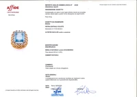 Spilla/ciondolo con acquamarina e diamanti - Tesori di Pasqua