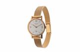 Longines, orologio - Asta Preziosi Longines, orologio - Asta Preziosi