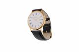 Philip Watch, orologio - Asta Preziosi Philip Watch, orologio - Asta Preziosi