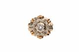 Anello con diamante - Asta Preziosi Anello con diamante - Asta Preziosi