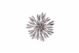 Spilla con diamanti - Asta Preziosi Spilla con diamanti - Asta Preziosi