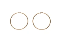 Paio di orecchini a cerchio - Asta Preziosi