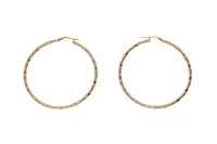 Paio orecchini a cerchio - Asta Preziosi