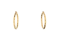 Orecchini a cerchio - Asta Preziosi