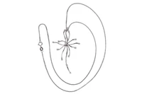 Collana con diamanti - Asta Preziosi