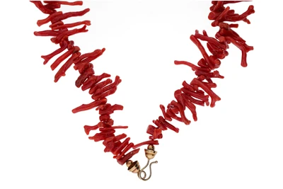 Collana con rami di corallo - Asta Preziosi