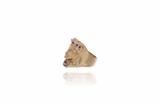 Anello in oro con diamanti, rubini e zaffiri - Asta Preziosi Anello in oro con diamanti, rubini e zaffiri - Asta Preziosi