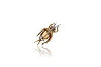 Spilla con diamanti - Asta Preziosi Spilla con diamanti - Asta Preziosi