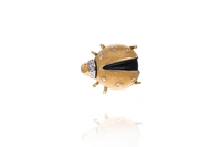 Spilla a forma di coccinella con diamanti - Asta Preziosi Spilla a forma di coccinella con diamanti - Asta Preziosi