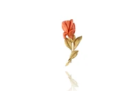 Spilla con corallo - Asta Preziosi Spilla con corallo - Asta Preziosi