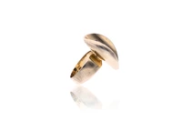 Anello con rubini e zaffiri - Asta Preziosi