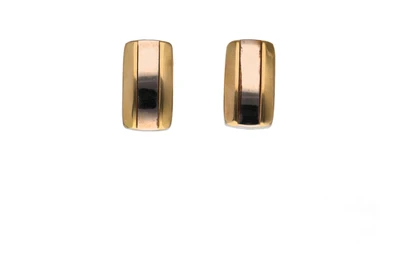 Paio di orecchini in oro - Asta Preziosi