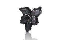 Anello con diamanti e madreperla - Asta Preziosi