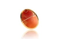 Ciondolo/spilla con cammeo su conchiglia - Asta Preziosi