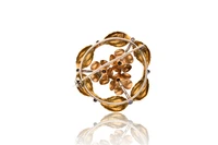 Spilla in oro bicolore 750 - Asta Preziosi