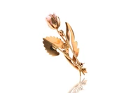 Spilla con corallo - Asta preziosi