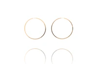 Paio di orecchini a cerchio - Asta Preziosi