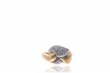 Anello con diamant - Asta Preziosi Anello con diamant - Asta Preziosi