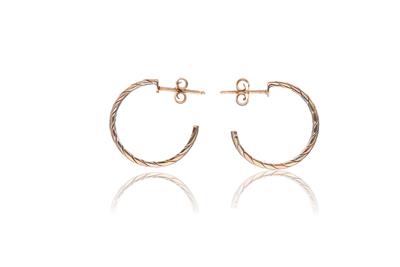 Paio di orecchini a cerchio in oro - Asta Preziosi