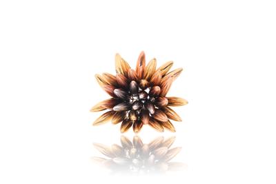 Anello in oro - Asta Preziosi