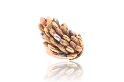 Anello in oro tre colori - Asta Preziosi