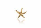 Paio di orecchini a forma di stelle marine - Asta di San Valentino Paio di orecchini a forma di stelle marine - Asta di San Valentino