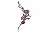 Spilla con diamanti - Asta di San Valentino Spilla con diamanti - Asta di San Valentino