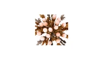 Spilla con coralli - Asta Speciale