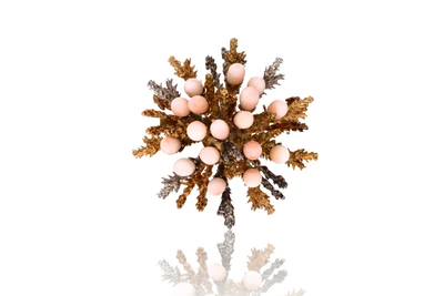 Spilla con coralli - Asta Speciale